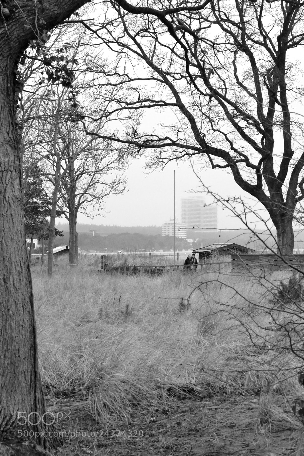 Nikon D3100 sample photo. Walking by photography