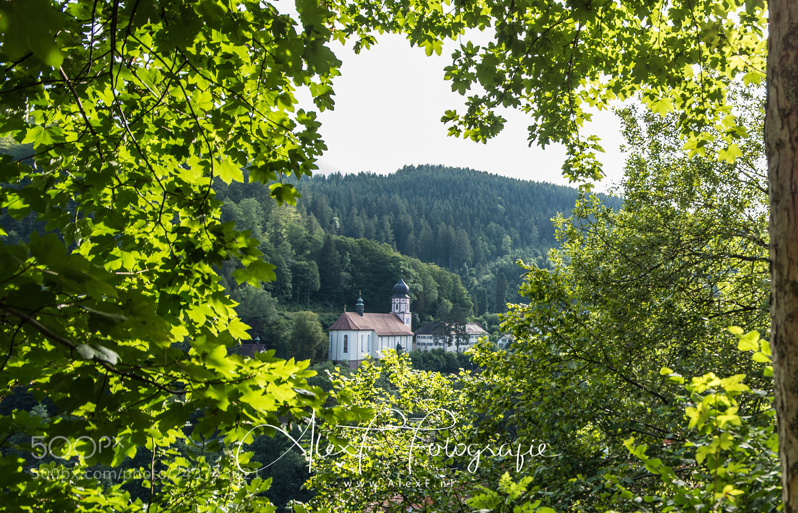 Nikon D810 sample photo. Triberg church photography