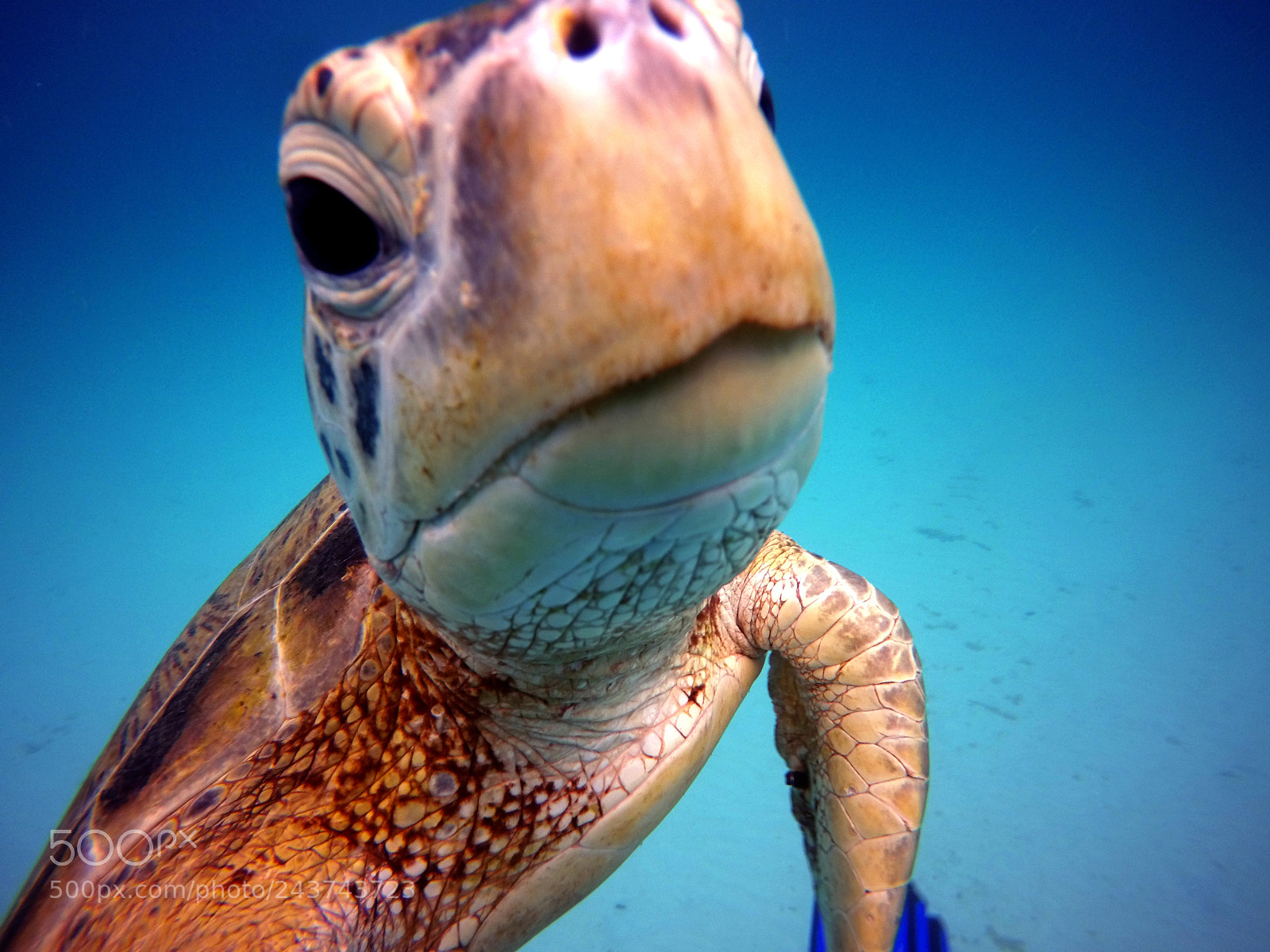 GoPro HERO4 Silver sample photo. Dcim\100gopro\gopr3491. photography