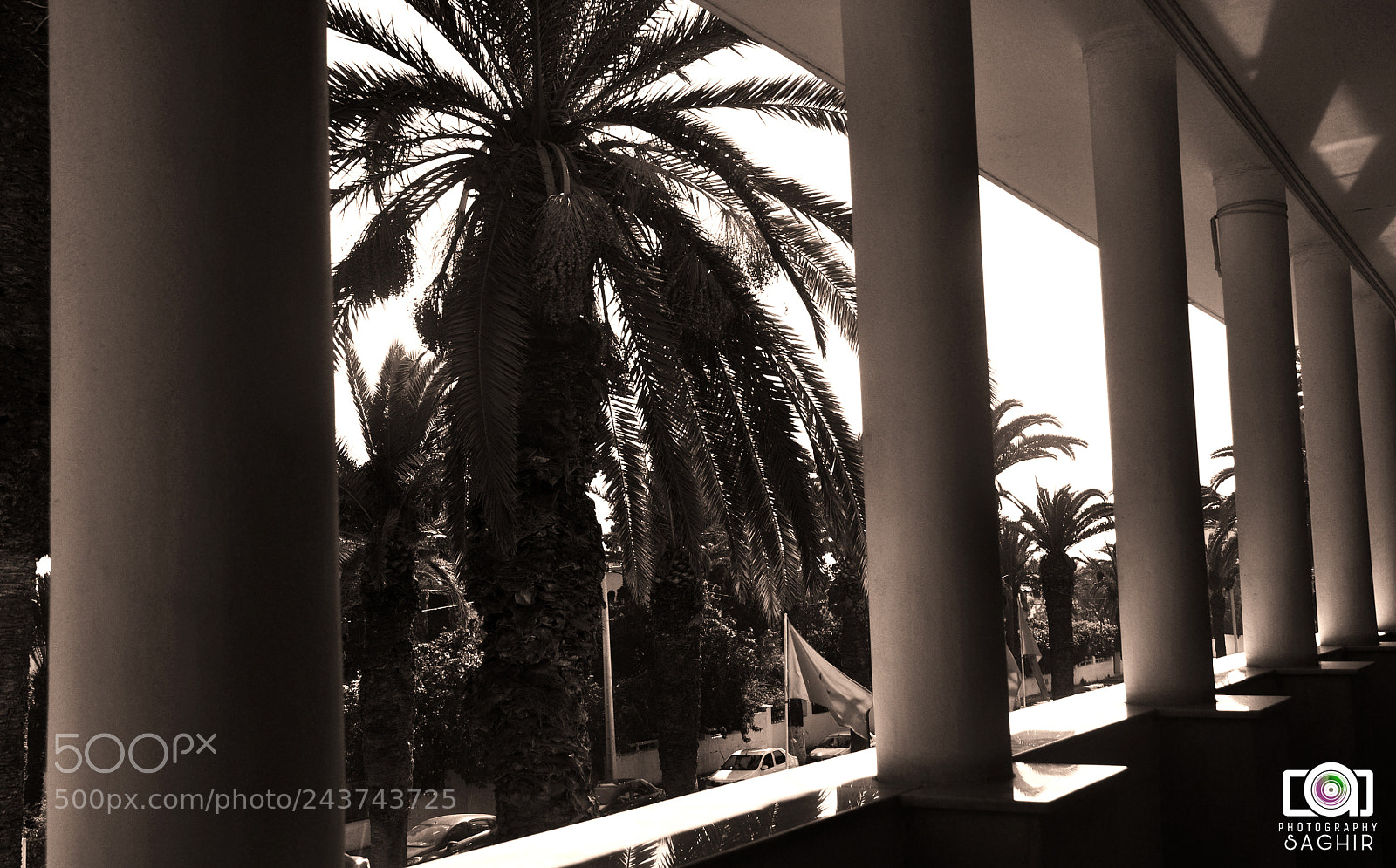 Nikon D90 sample photo. Untitled photography