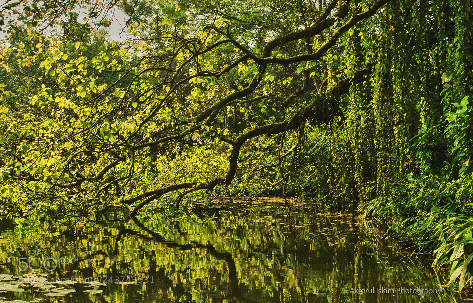 Nikon D3200 sample photo. Untitled photography