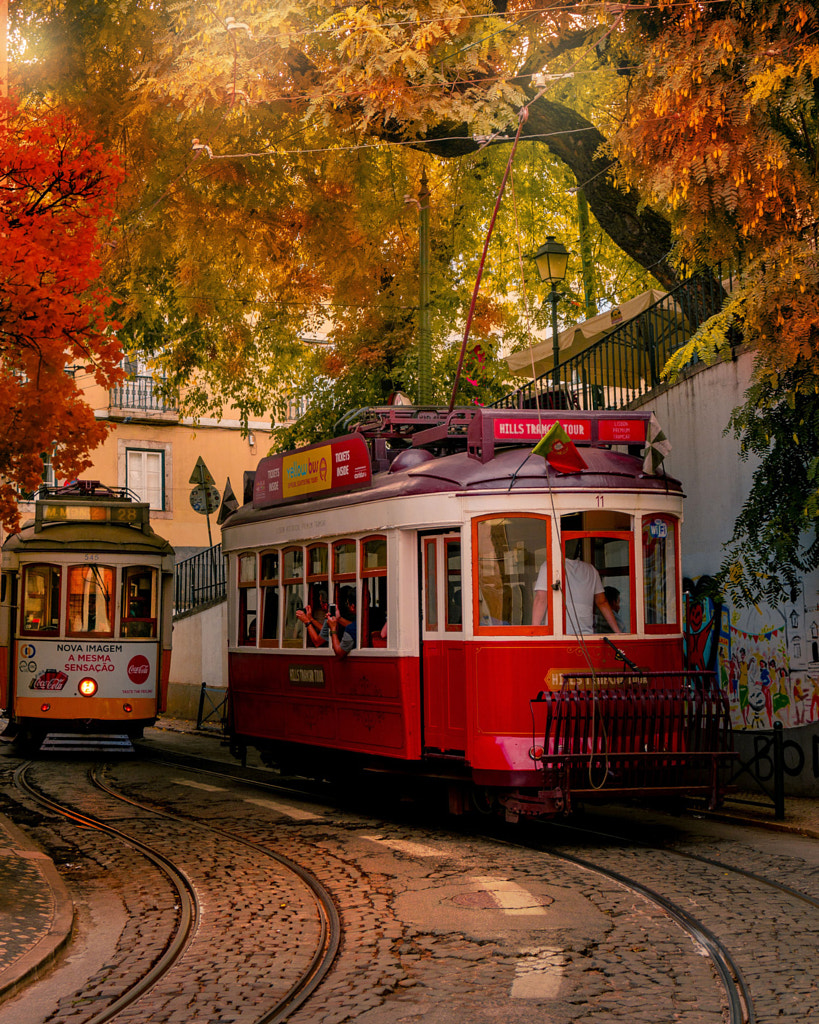 LISBON TRAMS by Dorian Pellumbi on 500px.com