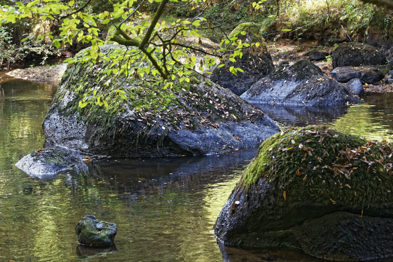 Canon EF 70-200mm F4L IS USM sample photo. Dxo photography