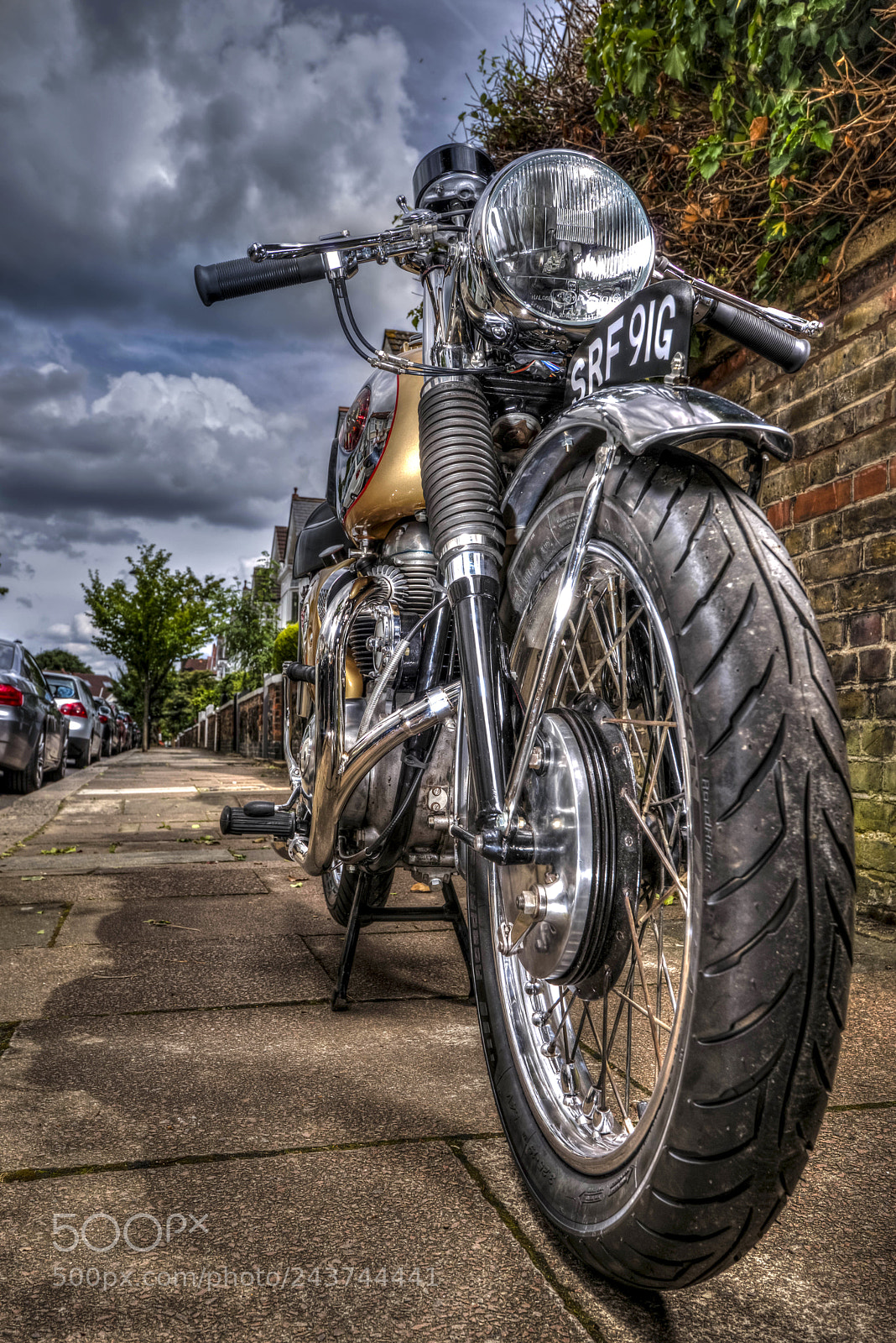 Nikon D800 sample photo. Bsa photography