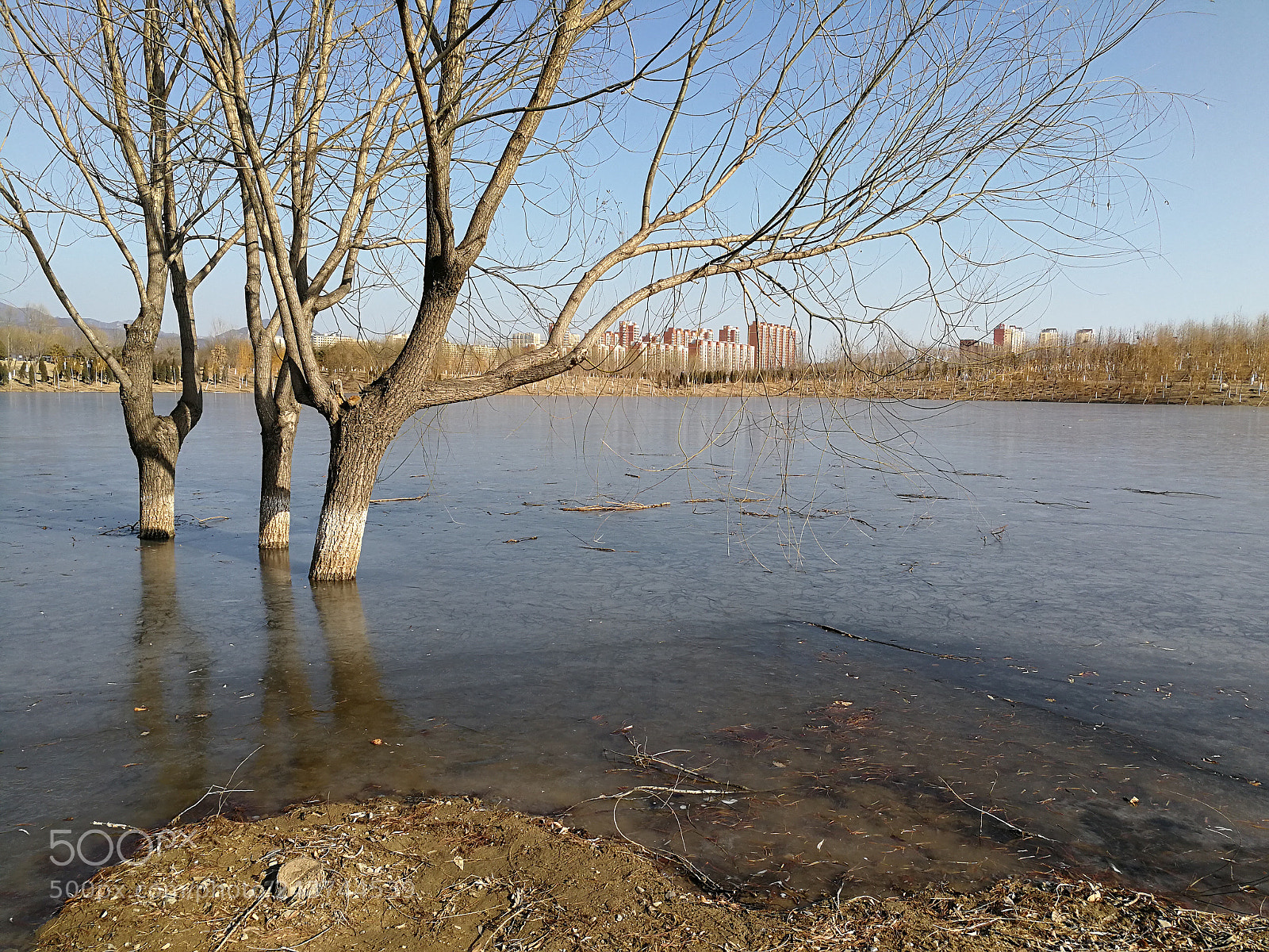 HUAWEI Mate 9 sample photo. Winter photography