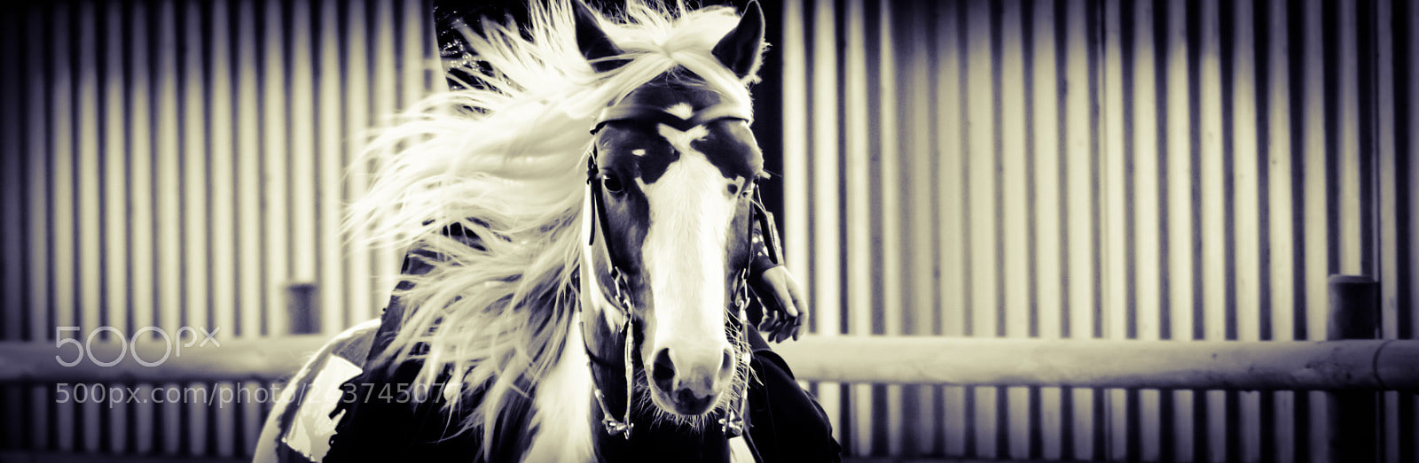 Nikon D7100 sample photo. Wavy hair photography
