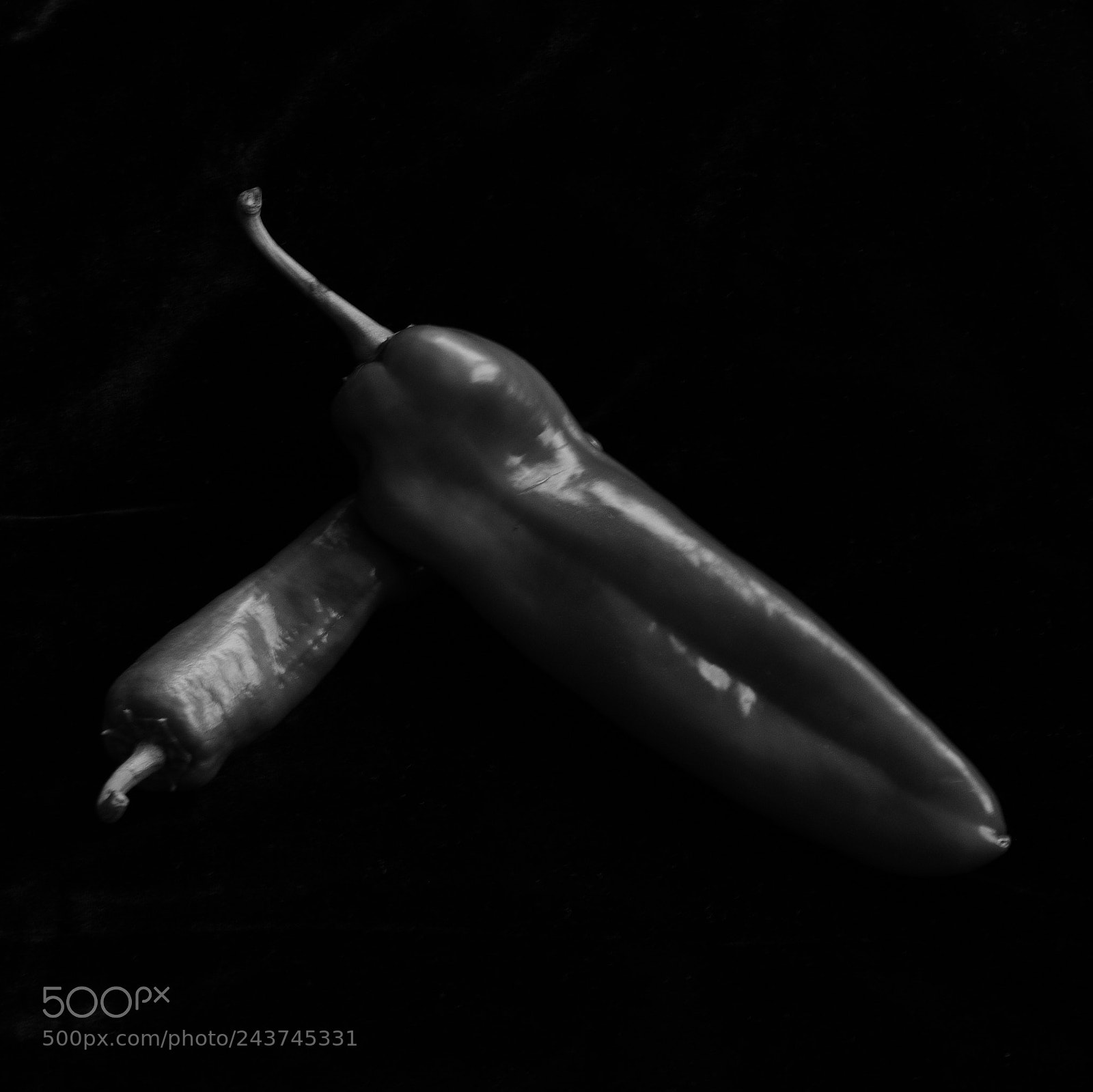 Nikon D810 sample photo. B&w day 2 photography