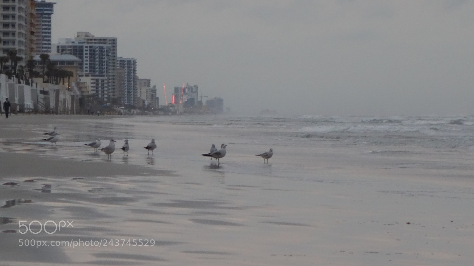 Sony Cyber-shot DSC-RX100 II sample photo. Blustery winter’s shore photography