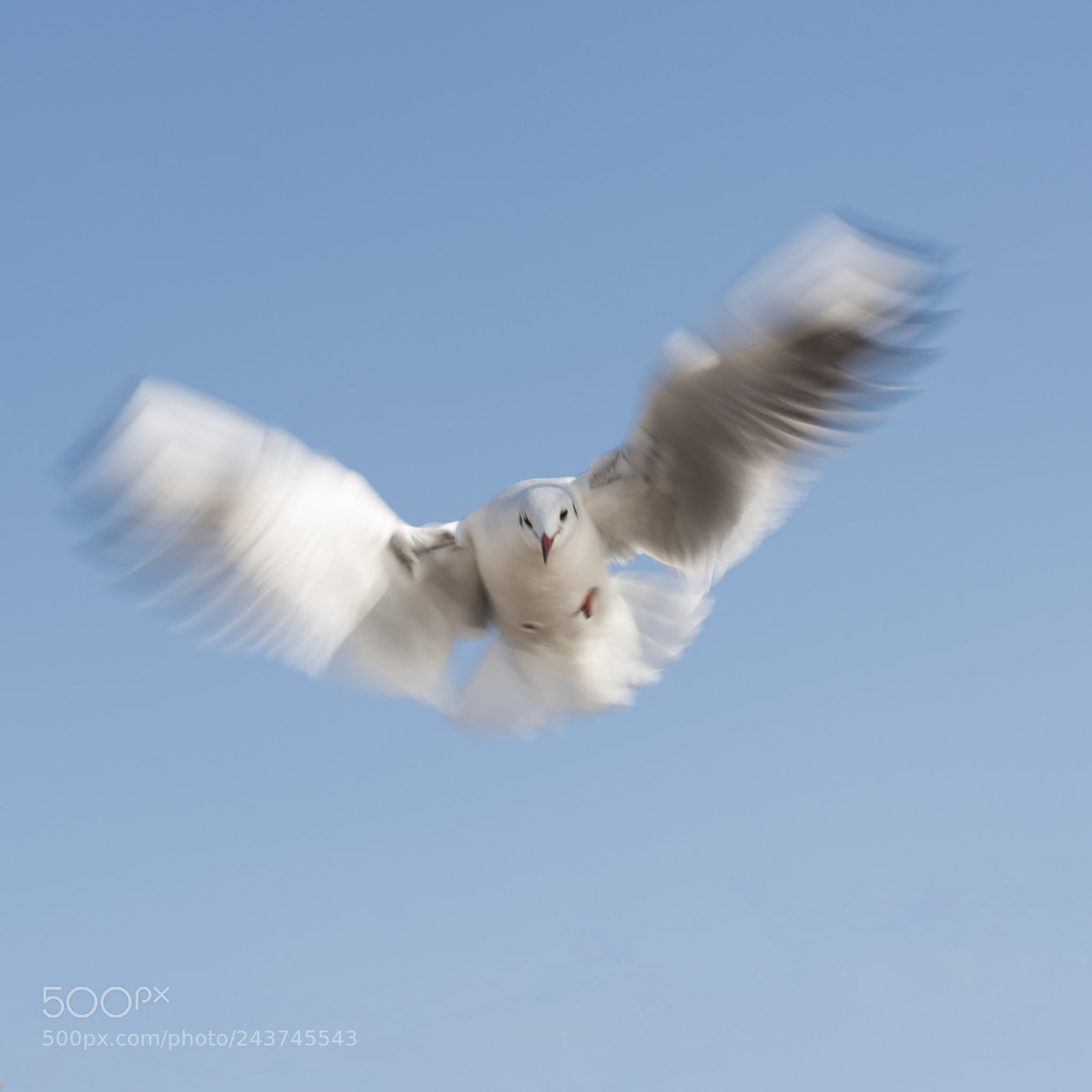 Nikon D810 sample photo. I looked at a photography