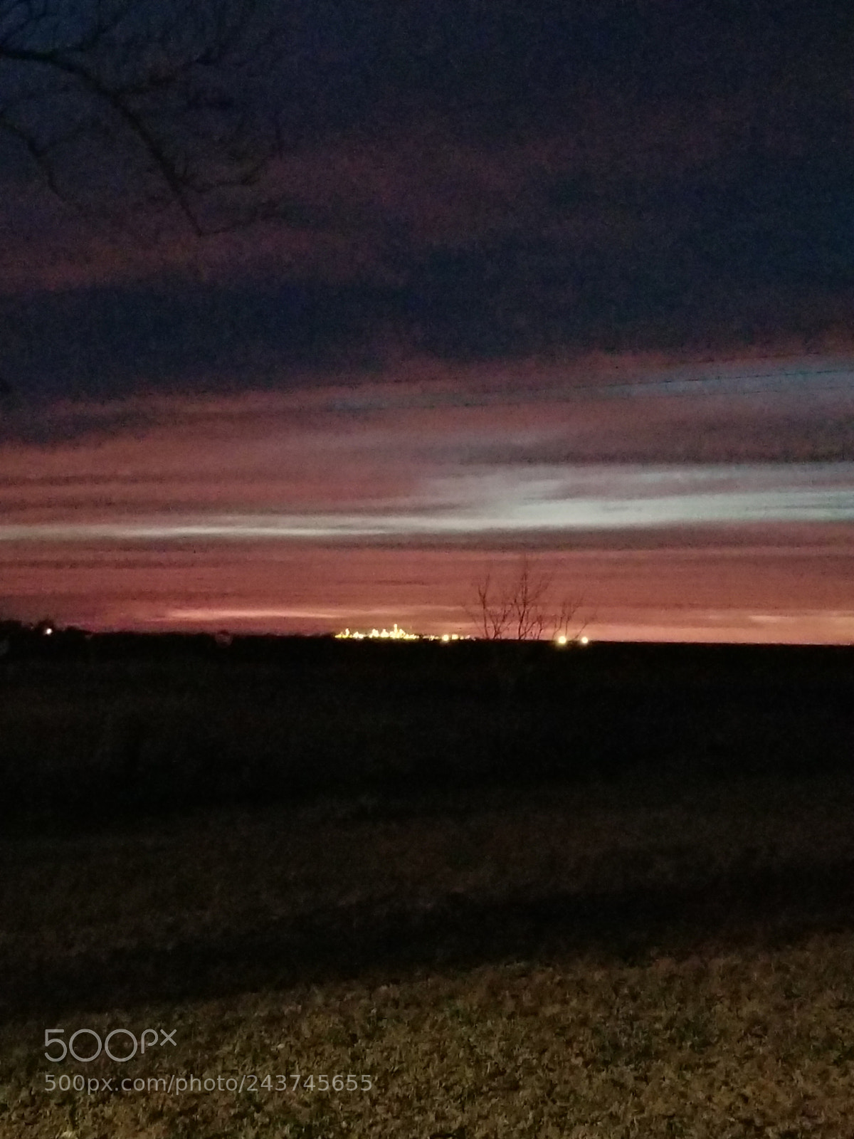 Samsung Galaxy S8+ sample photo. Plant city at night photography