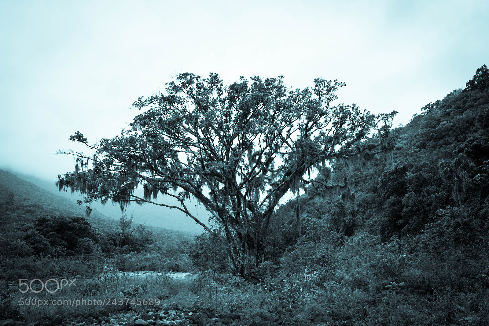 Canon EOS 60D sample photo. Untitled photography
