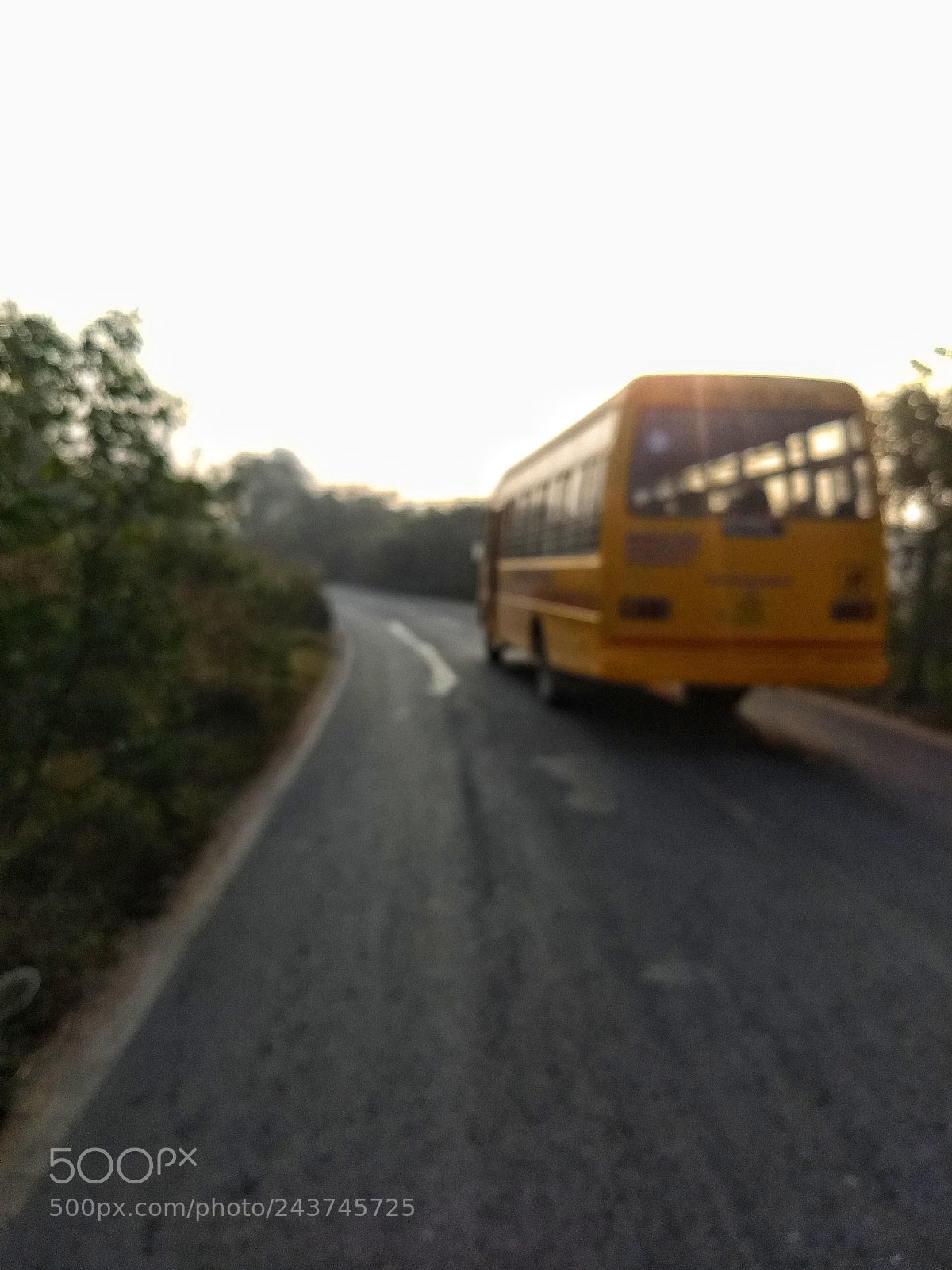 Motorola Moto G (5) Plus sample photo. Untitled photography