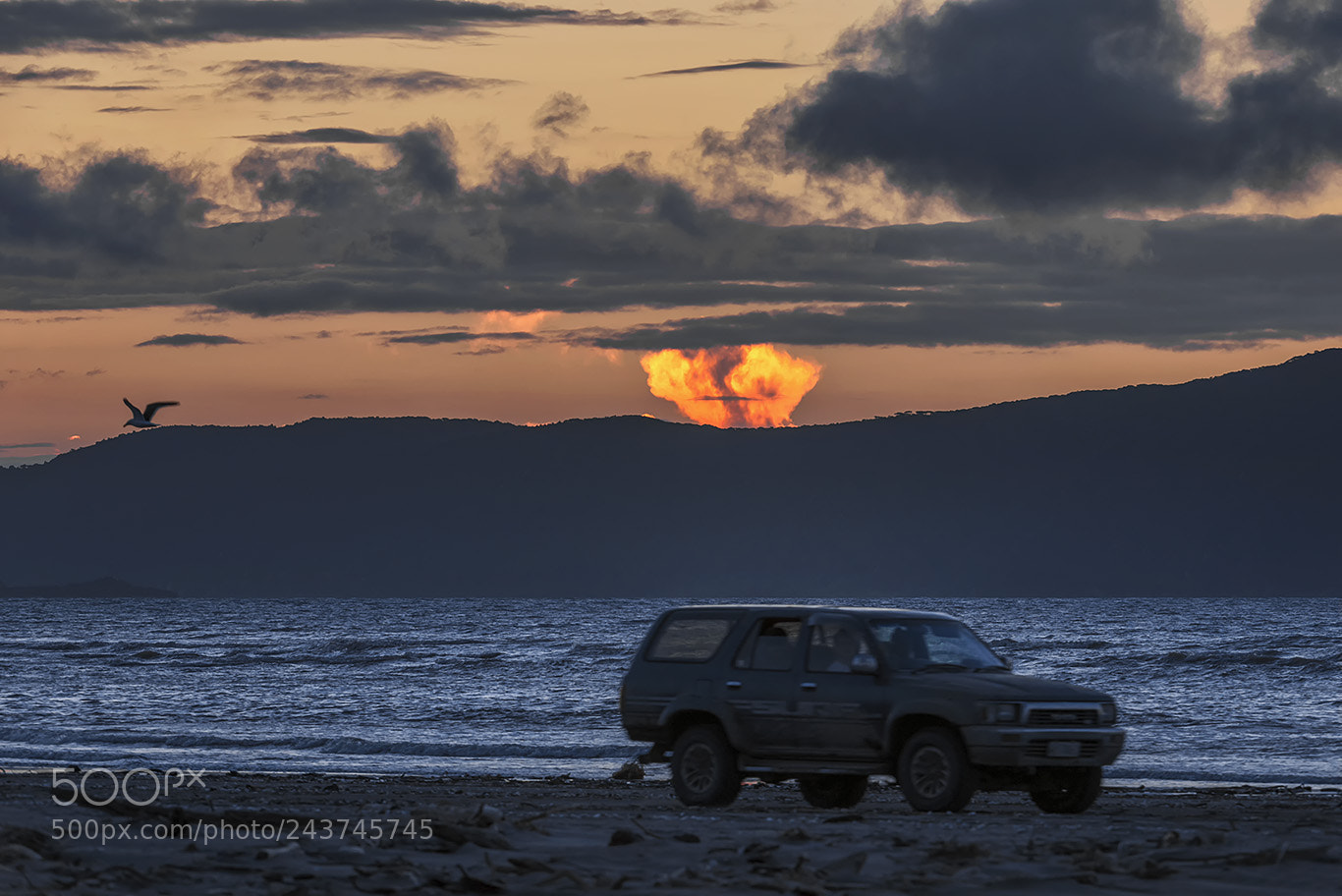 Nikon D810 sample photo. The car on the photography