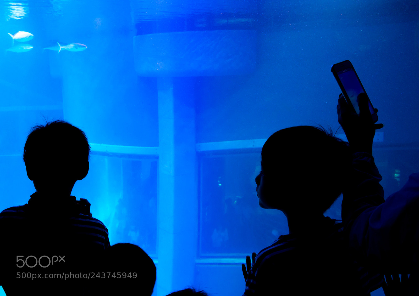 Sony Cyber-shot DSC-RX10 III sample photo. Amazed visitors in osaka photography