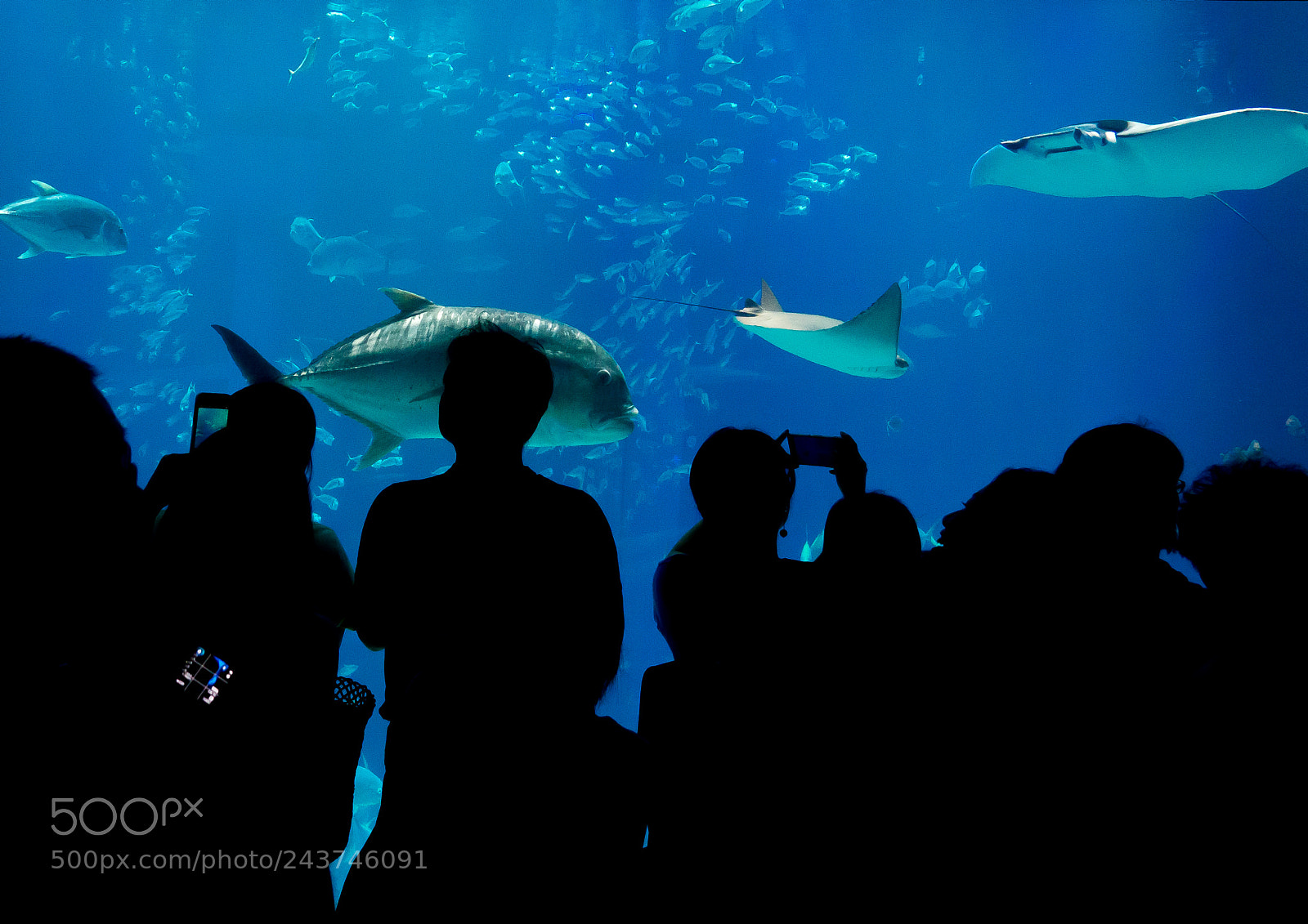 Sony Cyber-shot DSC-RX10 III sample photo. Amazed visitors in osaka photography