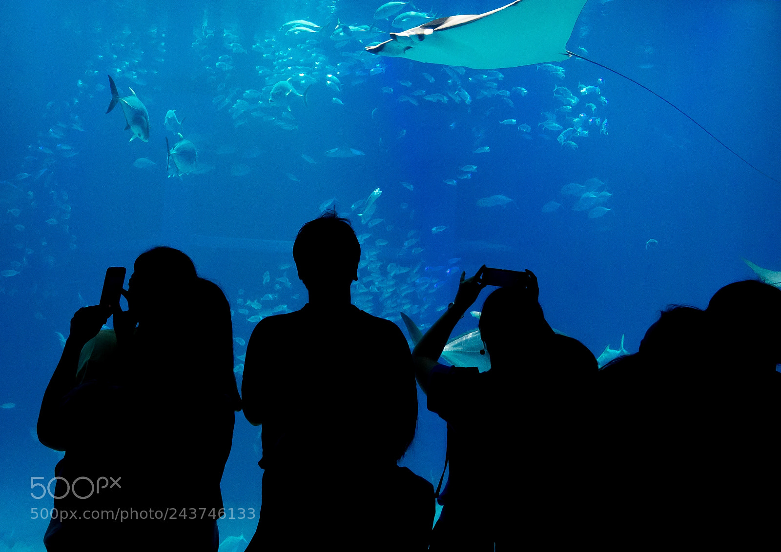 Sony Cyber-shot DSC-RX10 III sample photo. Amazed visitors in osaka photography