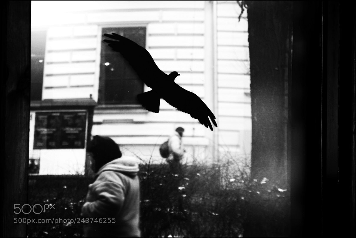 Canon EOS 7D Mark II sample photo. Untitled photography