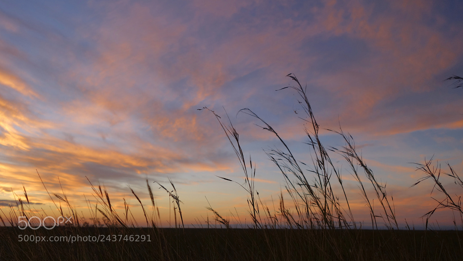 Sony Cyber-shot DSC-RX100 II sample photo. Rural sunset photography
