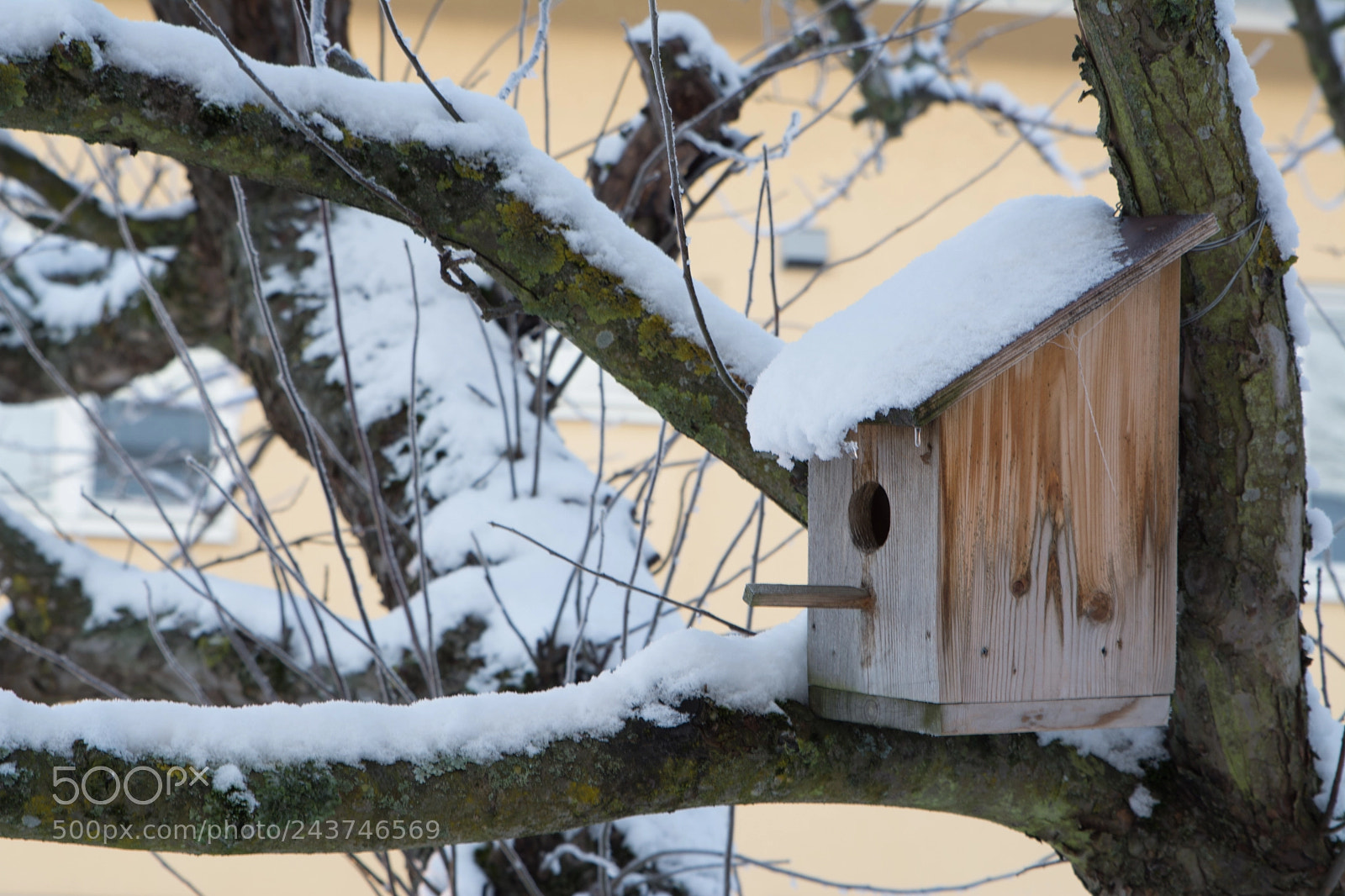 Nikon D7100 sample photo. Winther photography