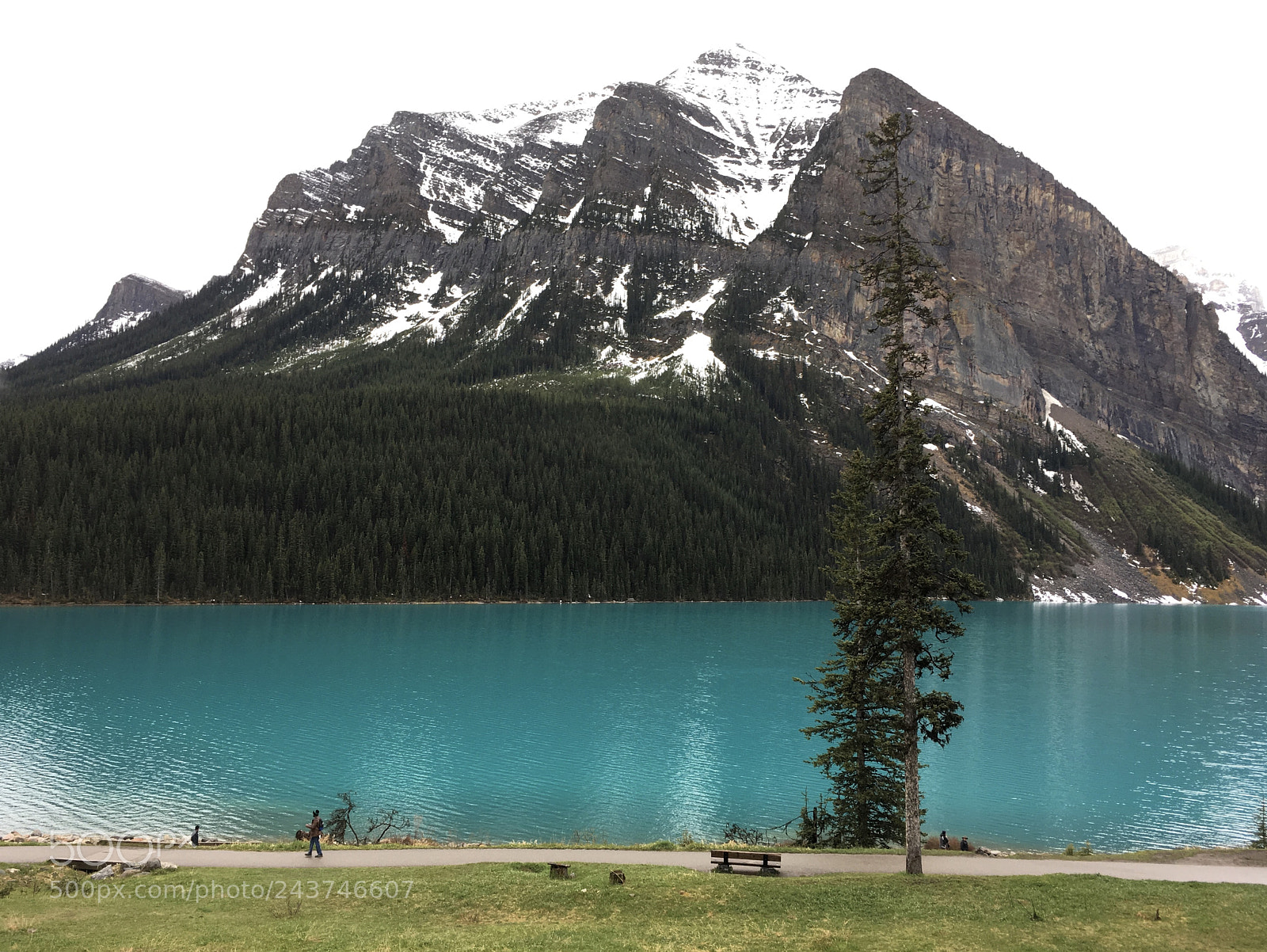 Apple iPhone 6s sample photo. Lake louise, alberta, canada photography