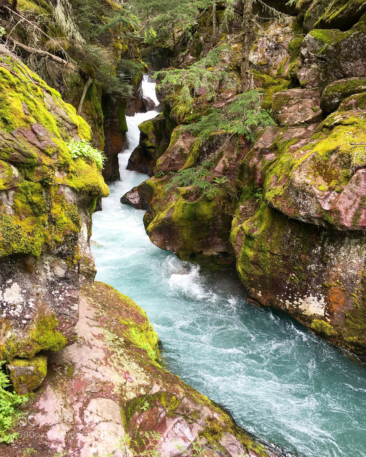 Apple iPhone 6s sample photo. Glacier national park, montana photography