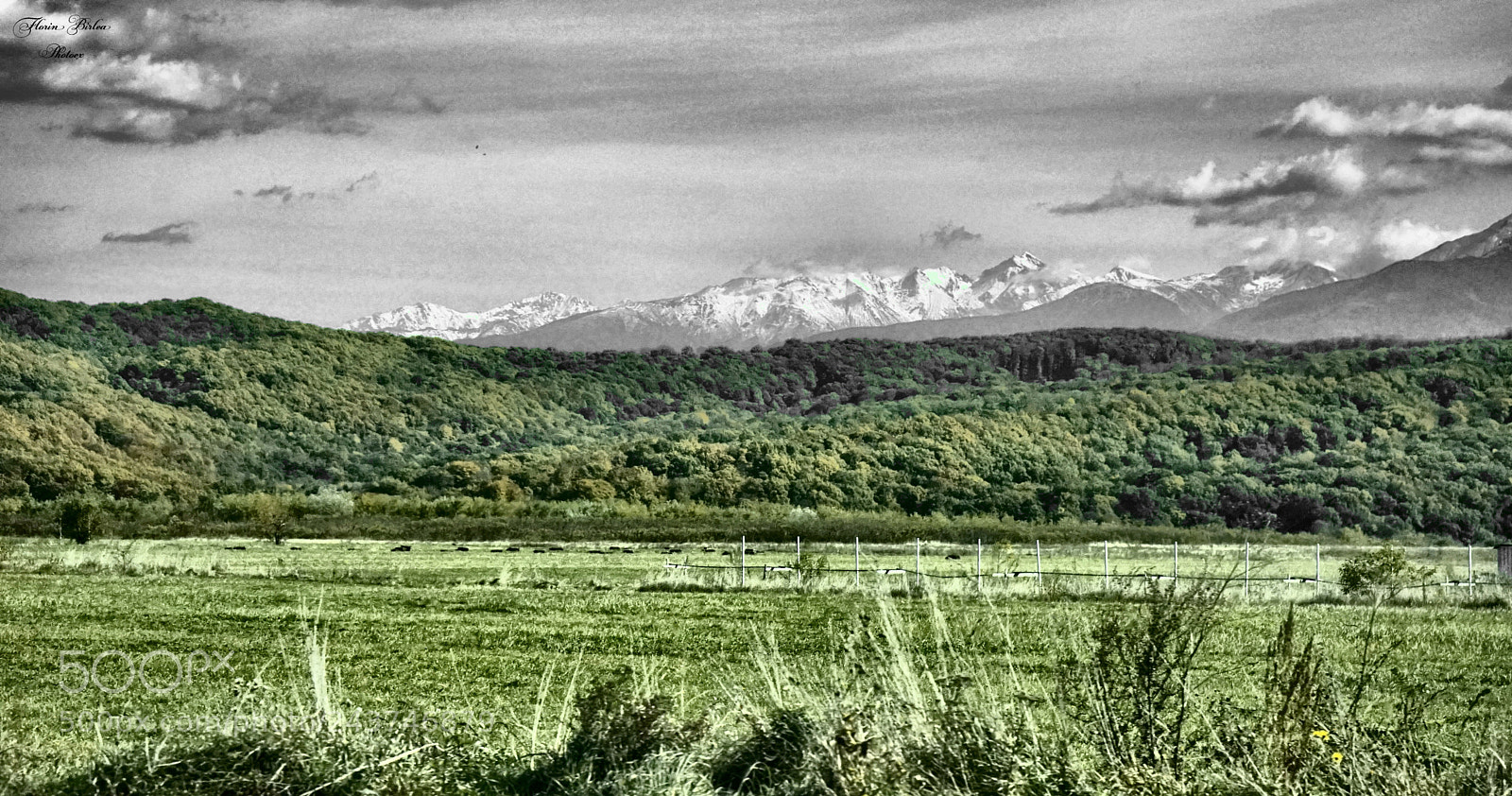 Sony a7 sample photo. Chat is nature photography