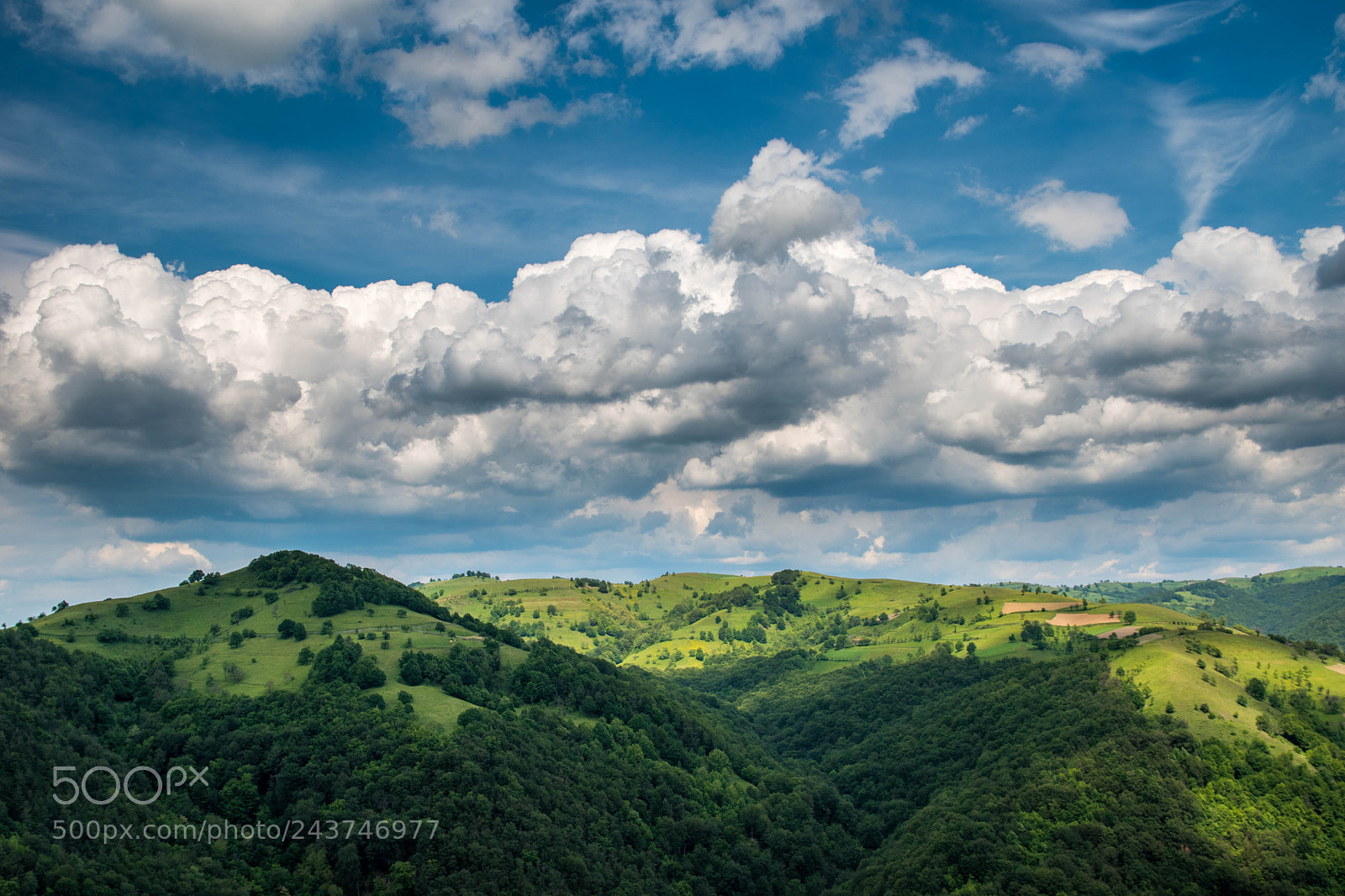 Nikon D5500 sample photo. Romania spring photography