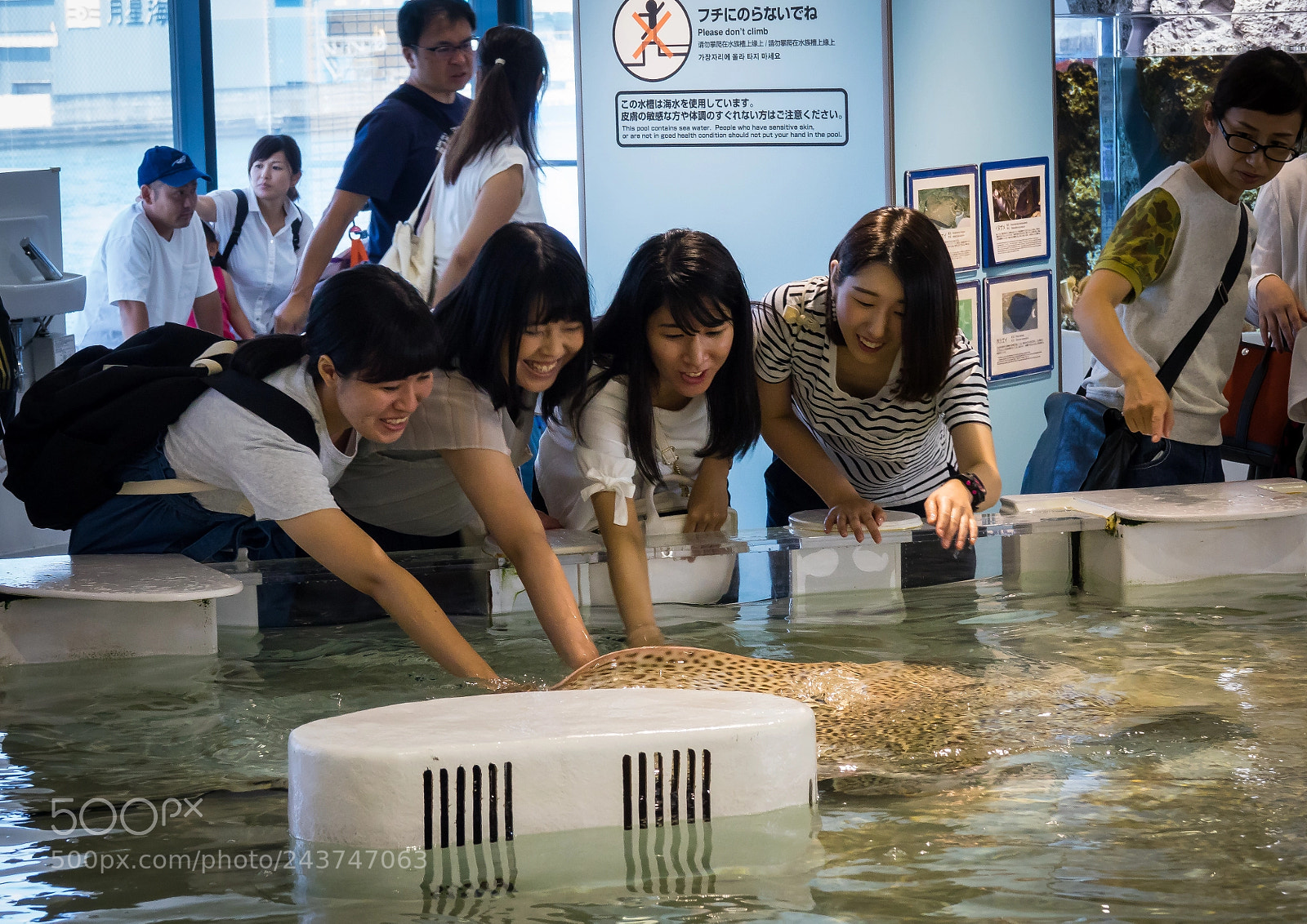 Sony Cyber-shot DSC-RX10 III sample photo. Amazed visitors touching fishes photography