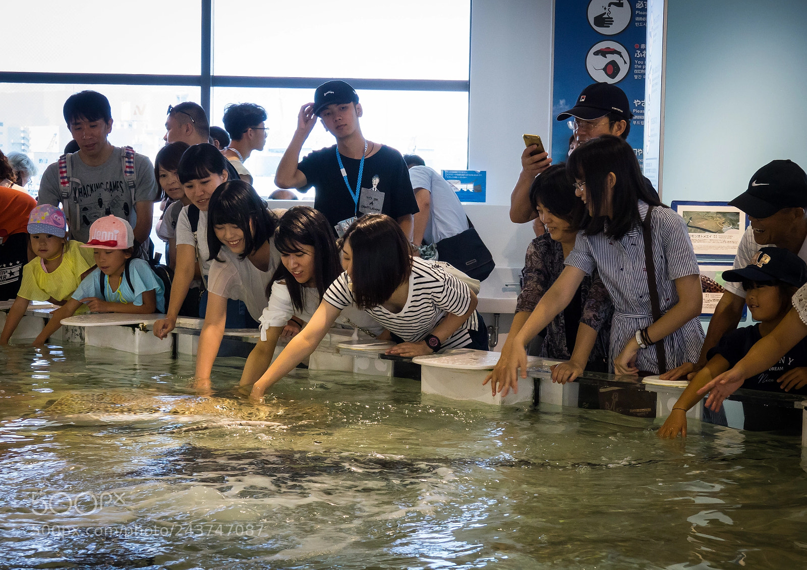 Sony Cyber-shot DSC-RX10 III sample photo. Amazed visitors touching fishes photography