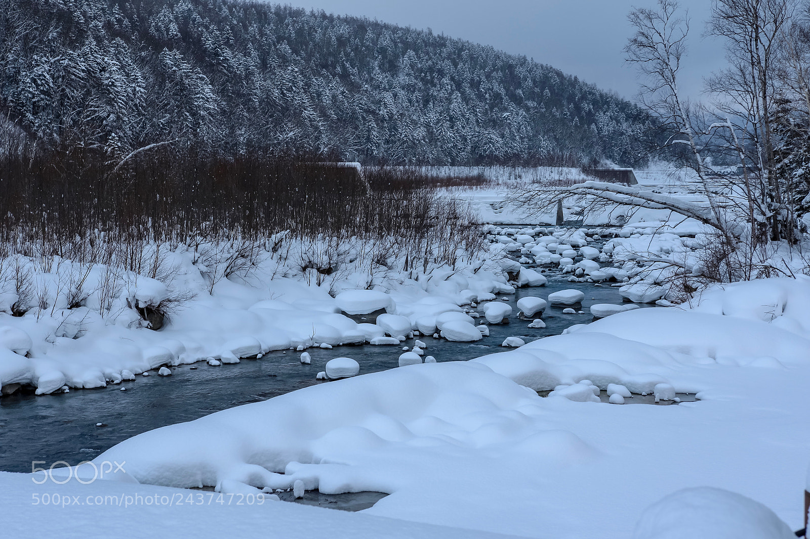 Canon EOS 7D Mark II sample photo. Untitled photography