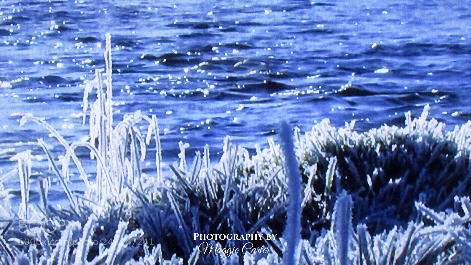 Canon PowerShot SX530 HS sample photo. Winter - ice and photography