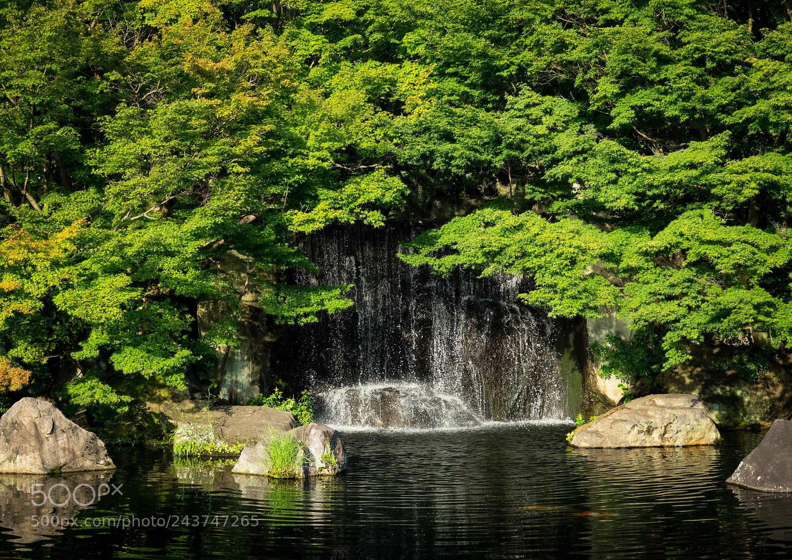 Sony Cyber-shot DSC-RX10 III sample photo. Koko-en gardens around himeji photography