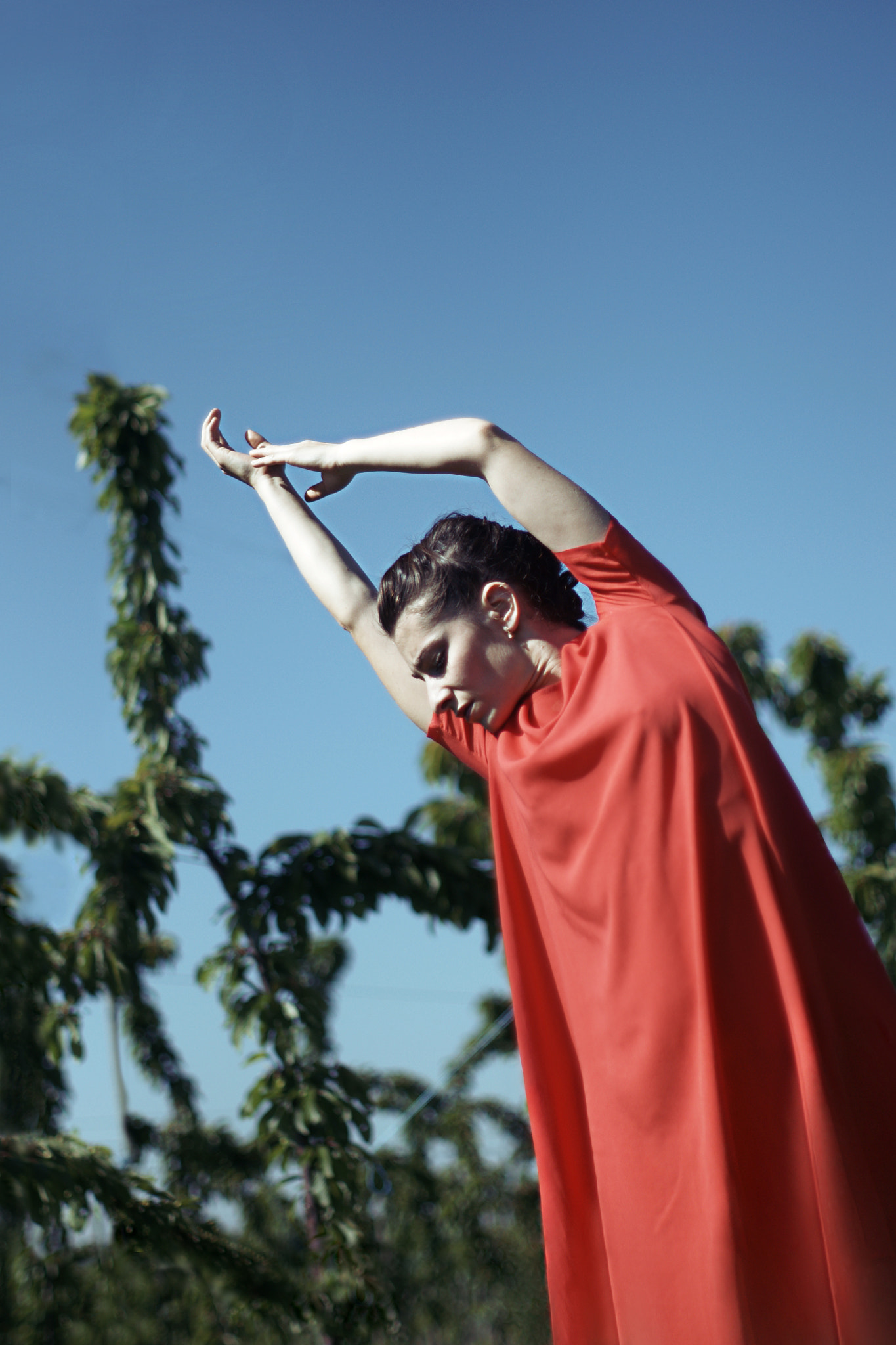 Sony 50mm F1.4 sample photo. Red dress dance and cherry trees photography