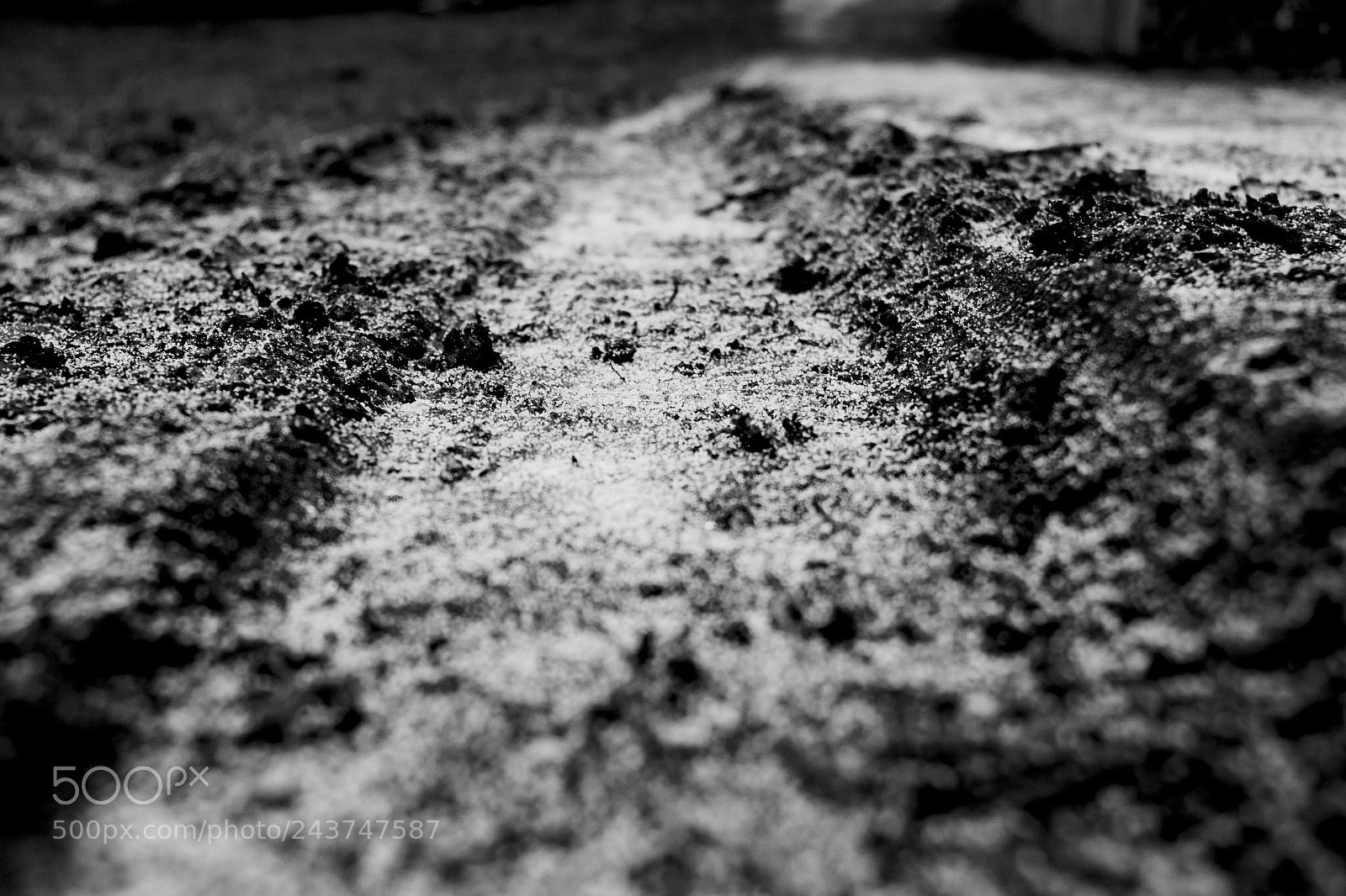 Canon EOS 7D Mark II sample photo. Mud photography