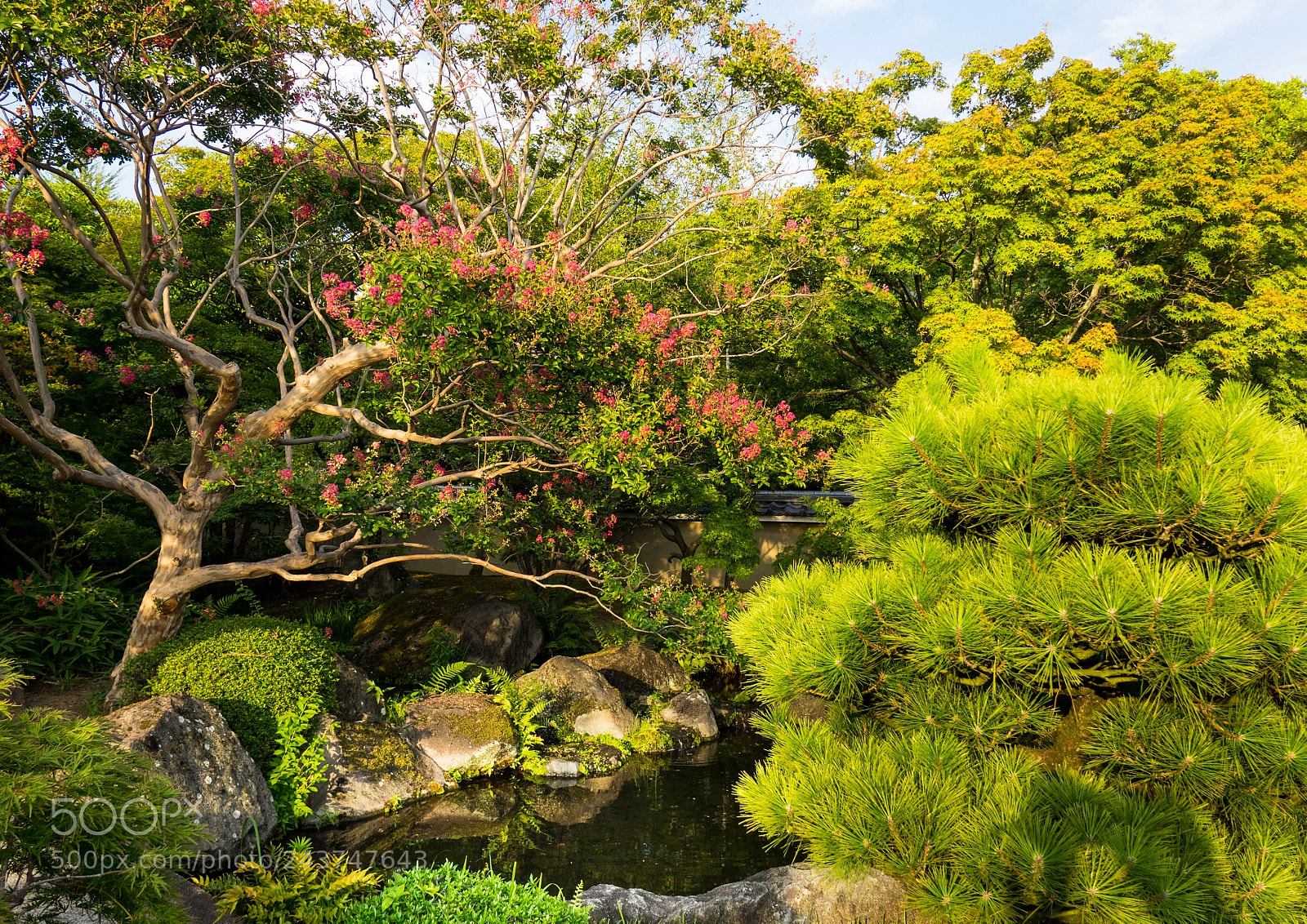 Sony Cyber-shot DSC-RX10 III sample photo. Koko-en gardens around himeji photography
