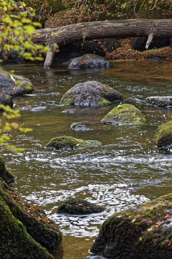 Canon EF 70-200mm F4L IS USM sample photo. Le site corot photography