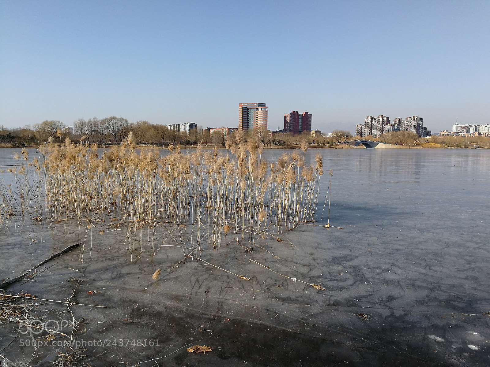 HUAWEI Mate 9 sample photo. Cof photography