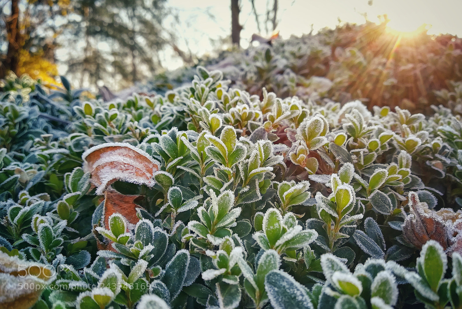 HUAWEI PRA-LX1 sample photo. Untitled photography