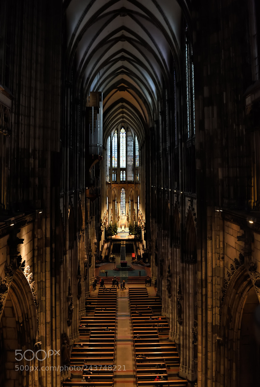 Nikon D810 sample photo. Interior of cathedral in photography