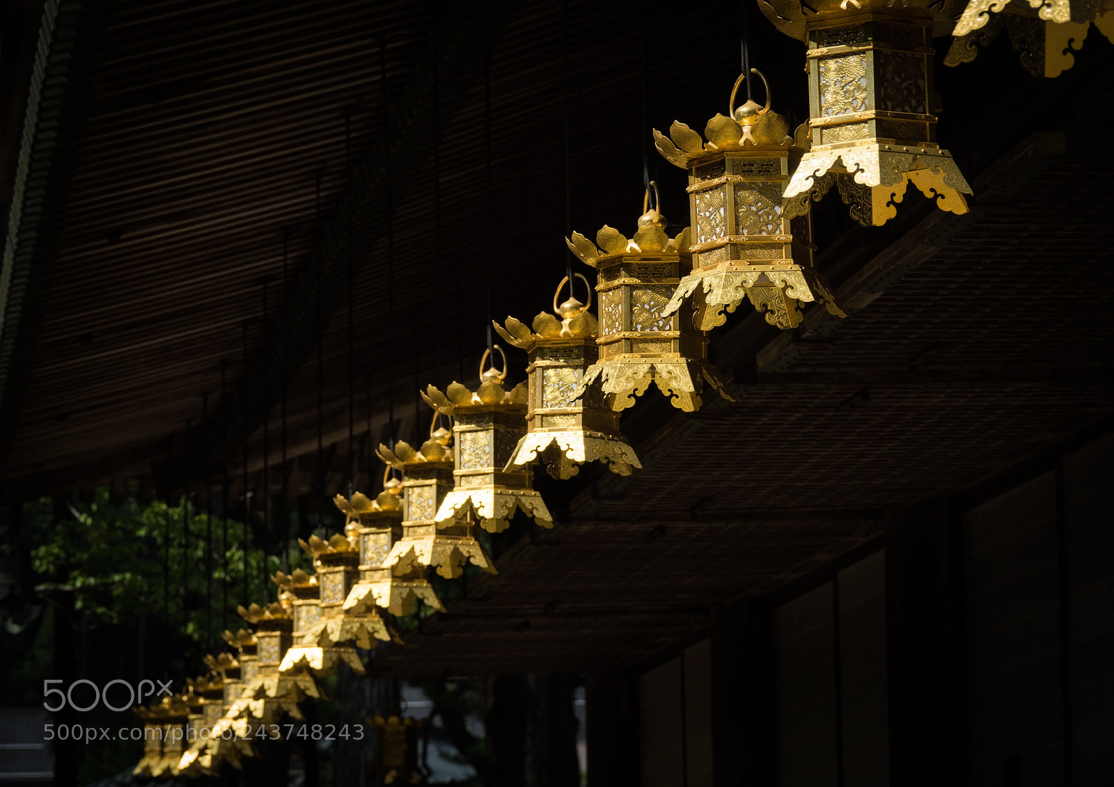 Sony Cyber-shot DSC-RX10 III sample photo. Row of golden lanterns photography