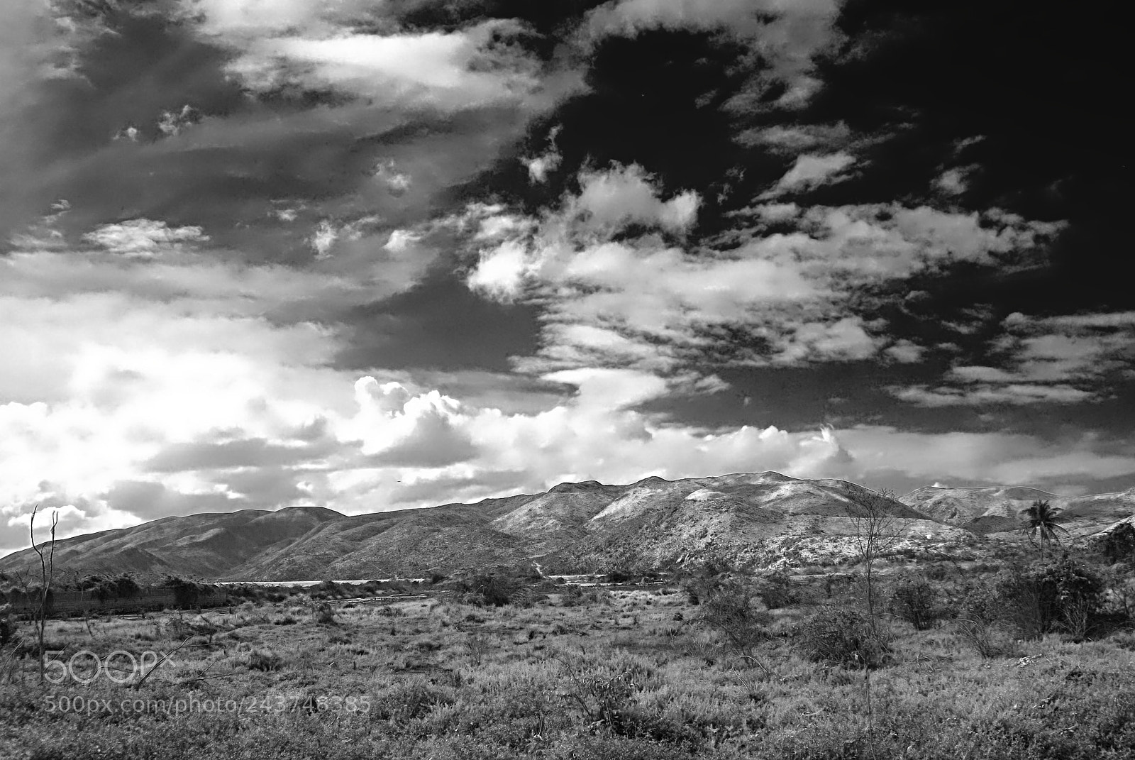 Nikon D40X sample photo. Haiti photography