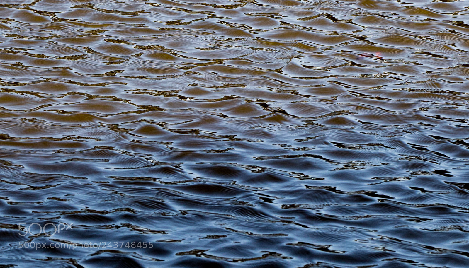 Canon EOS-1D X Mark II sample photo. Reflection photography