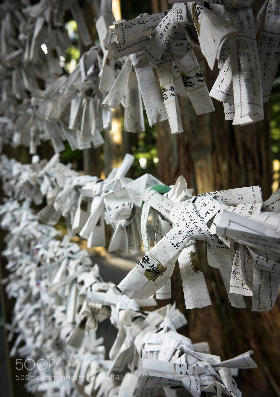 Sony Cyber-shot DSC-RX10 III sample photo. Omikuji papers in which photography