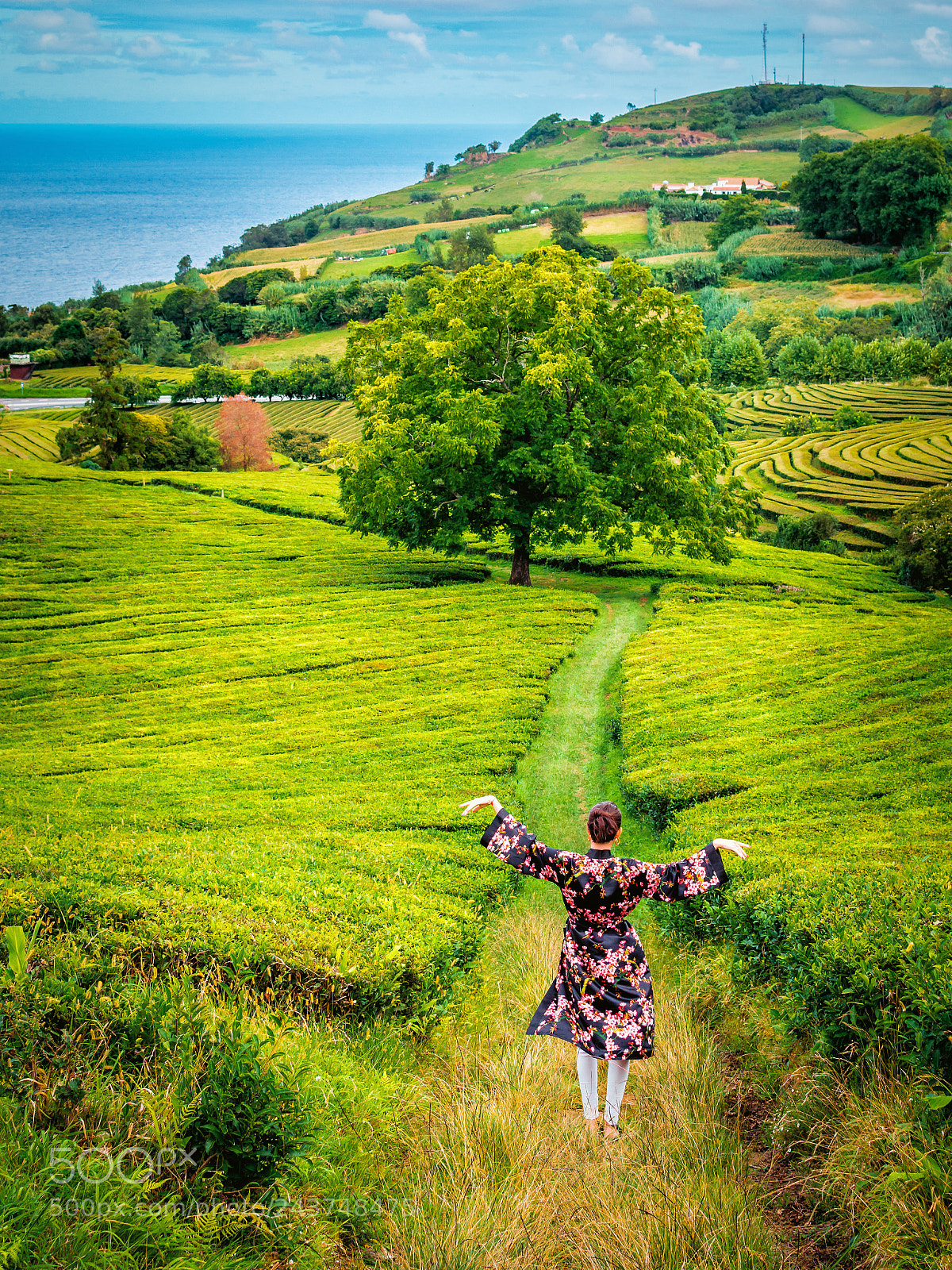 Nikon D7100 sample photo. Azores photography