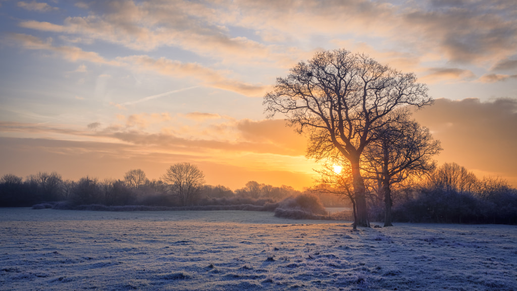 Winter Rise by Antony Cooper / 500px