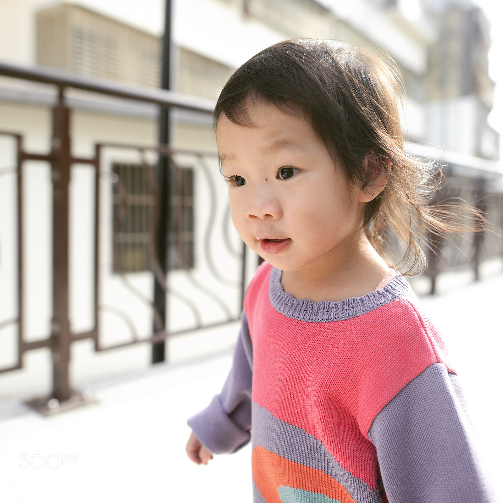 Nikon D800 sample photo. Untitled photography