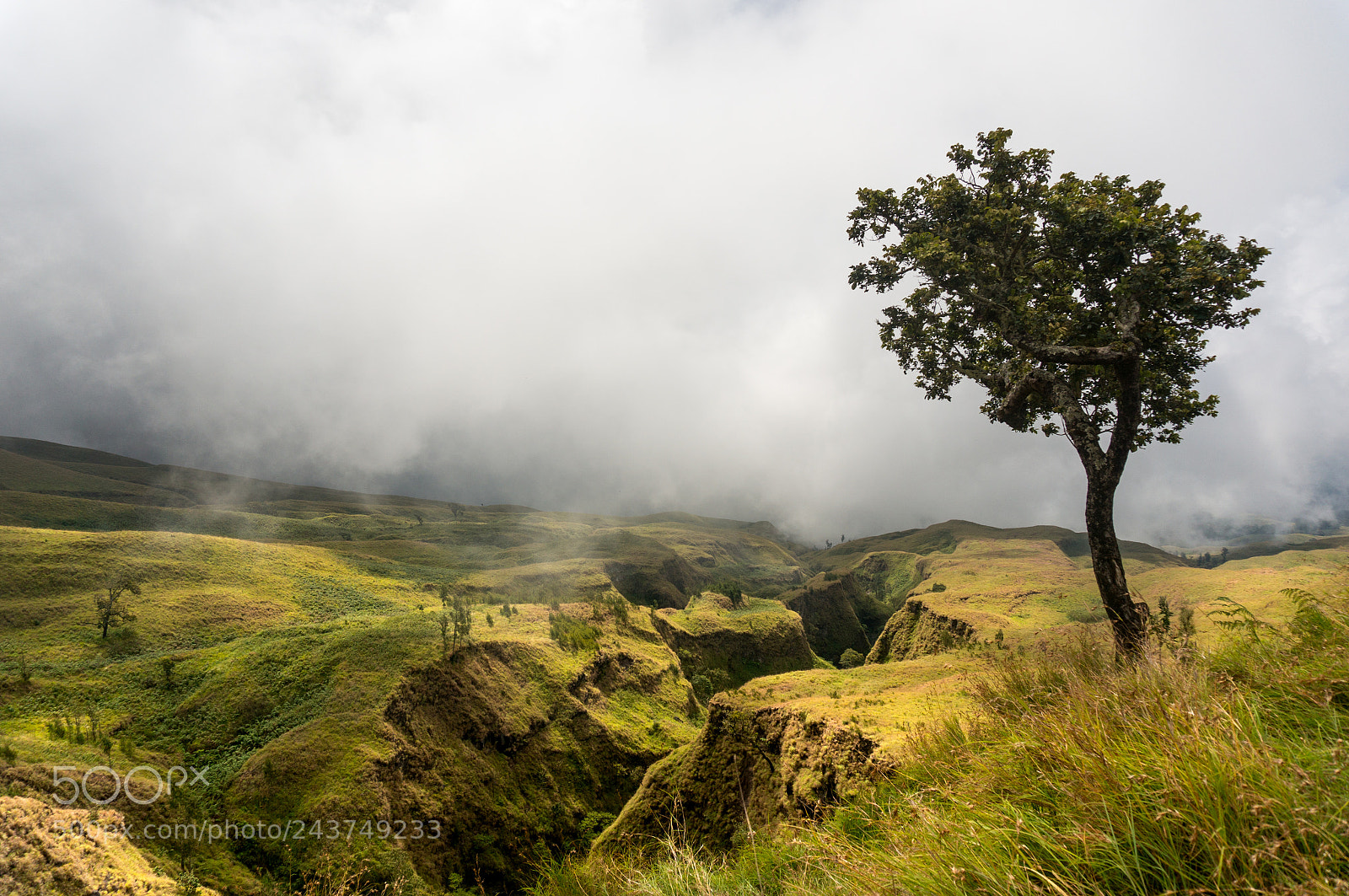 Sony Alpha NEX-6 sample photo. Mount rinjani foggy scenery photography