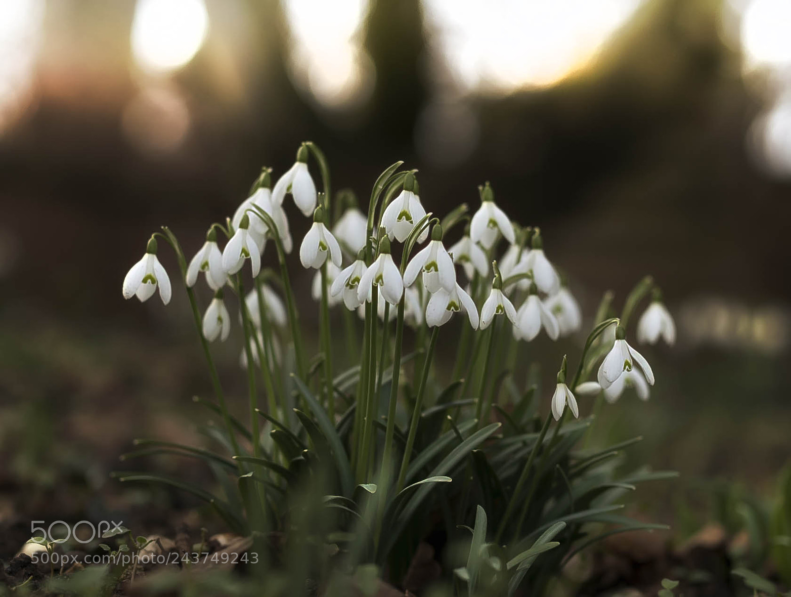 Nikon D810 sample photo. Heute morgen in meinem photography