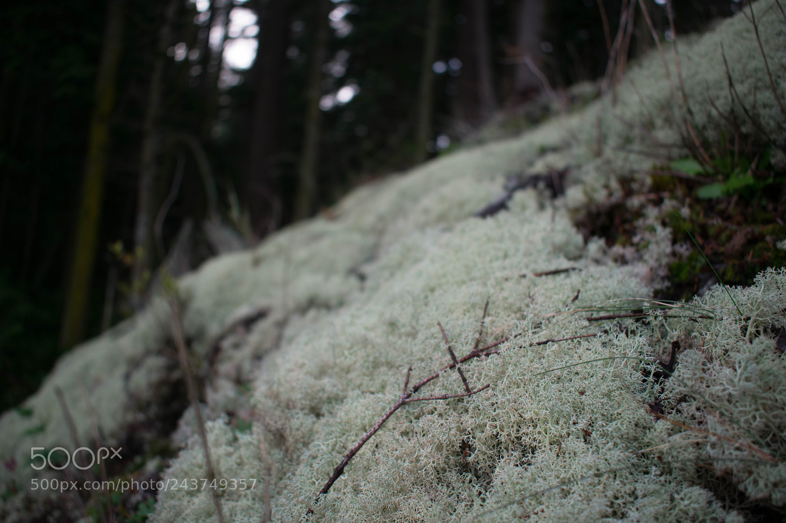 Nikon D3400 sample photo. Nature wildlife photography