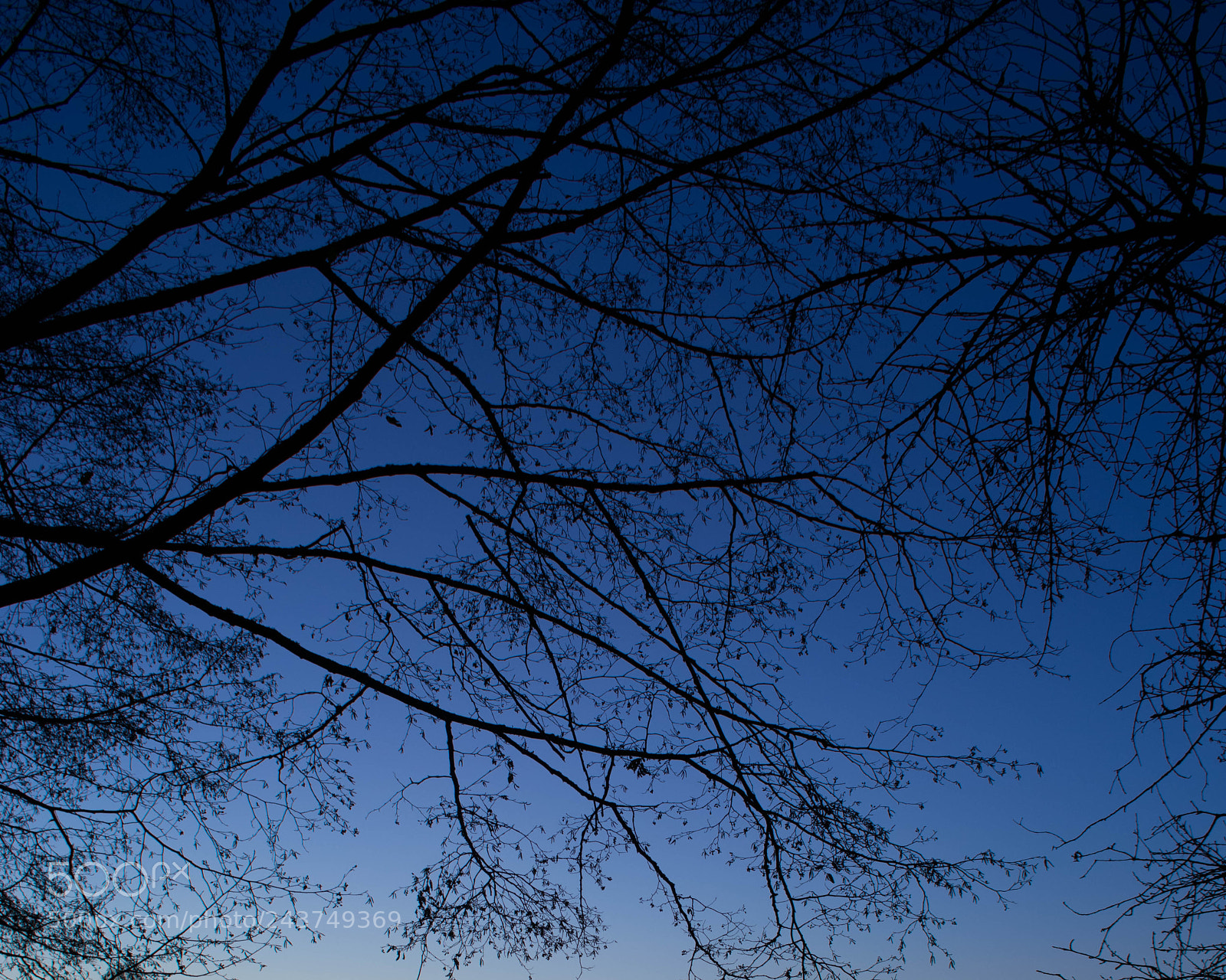 Nikon D3400 sample photo. Nature wildlife photography
